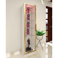 ราคา FDN Furniture ตู้โชว์กระจกมีไฟ ตู้โชว์โมเดล ขนาด 60*40*230 ซม. รุ่น GS-601 สีขาว/โกล์ด (12638177)