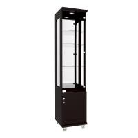 ราคา FDN Furniture ตู้โชว์กระจกมีไฟ ตู้โชว์โมเดล ขนาด 40*45*180 ซม. รุ่น CB-003 สีโอ๊คดำ (12638111)