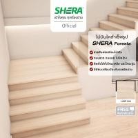 ราคา SHERA ไม้บันได รุ่นฟอเรสต้า สี Light oak 2.5 x 25 x 120 (10708040)