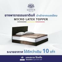 ราคา Lotus ที่นอนยางพาราแท้ รุ่น Agento หนา 2 นิ้ว Latex made in Belgium 6feet ขนาด 6 ฟุต (10179071)