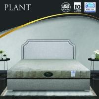 ราคา Homematt Mattress HOMEMATT PLANT ที่นอนรุ่นใหม่ล่าสุด 5feet 5 ฟุต (10569579)