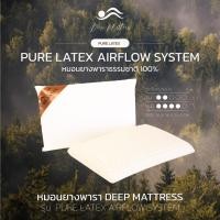 ราคา Deep mattress ที่นอนและหมอนยางพารา หมอน Pure latex SIZE มินิมอล WHITE (10820498)