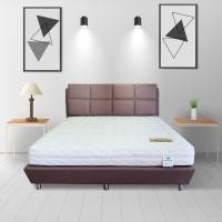 ราคา Ventry Official Shop ที่นอนยางพาราแบบ 7 Zone รุ่น PEARL หนา 8 นิ้ว ขนาด 3.5 ฟุต (10931993)