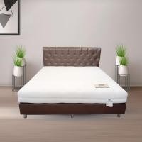 ราคา Ventry ที่นอนยางพาราธรรมชาติ 100% แบบ 7 Zone รุ่น PRIDA หนา 8 นิ้ว ฟรีหมอนหนุน+หมอนข้าง 5 ฟุต (10931969)