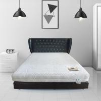 ราคา Ventry Official Shop ที่นอนยางพารา แบบ 7 Zone รุ่น MODA หนา 8 นิ้ว 3.5 ฟุต (10931982)