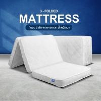 ราคา SC Home ที่นอน 3 พับ ที่นอนอเนกประสงค์ ขนาด 3.5 ฟุต หนา 4 นิ้ว แบบพกพาสะดวก น้ำหนักเบา 3.5 ฟุต (12484887)