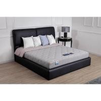 ราคา LUCKY MATTRESS ที่นอนลัคกี้ รุ่น บอดี้เมท (BODY MATE) 6 ฟุต (12570875)