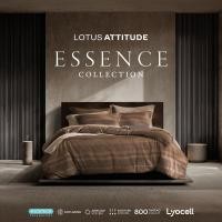 ราคา LOTUS ATTITUDE ชุดผ้าปู เทคโนโลยีผ้าถนอมผิว ทอ 800 เส้น รุ่น Essence ส่งฟรี Desert Beige 3.5ฟุต(ไม่รวมผ้านวม) (12640081)