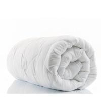 ราคา Blue sleep ไส้ผ้านวม ขนห่านเทียม กันไรฝุ่น 4feet 4ฟุต 70x90 นิ้ว (10158369)