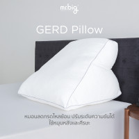 ราคา mr.big GERD Pillow หมอน Ergonomic สำหรับผู้ป่วยกรดไหลย้อน ปรับระดับได้ พร้อมปลอกถอดซัก white (10182625)