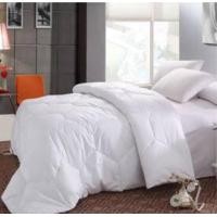 ราคา COZY ไส้ผ้านวม โรงแรม 60x80 (10390868)