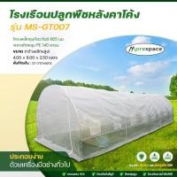 ราคา MoreShed โรงเรือนปลูกพืช โรงเรือนเพาะชำ โรงเรือนปลูกผัก Greenhouse M-GT007 ***ส่งฟรี*** โครง+พลาสติกคลุม (12594588)