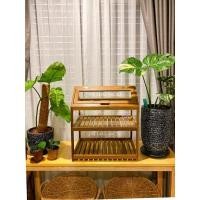 ราคา Thegangcactus โรงเรือนใหญ่ฝาบนแบบมีชั้นวางต้นไม้ โรงเรือนกระบองเพชร ชั้นวางกระบองเพชร 47 x 33 x 52 โรงเรือน สีไม้ (10509952)