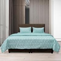 ราคา Picasso ชุดผ้าปูที่นอน (รวมผ้านวม) รุ่น Smile ลาย Bama สีกรีนมินต์ - ผ้าไมโครซาติน ทอ 350 เส้น/ตร.ซม. 5feet Queen Size (5 ฟุต) (11042725)