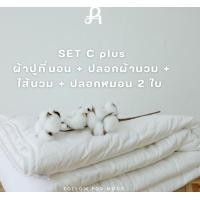 ราคา arestale :: Set C plus ผ้าปูที่นอน + ปลอกผ้านวม + ปลอกหมอน 2 ใบ + ไส้ผ้านวมคอตตอน ผ้าฝ้ายแท้ 100% (คอตตอน) Queen 5 ฟุต Bright White (11075535)