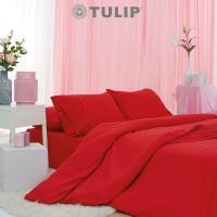 ราคา Bedding Gallery ชุดเครื่องนอนรุ่นสีพื้นโทนแดงเข้ม TULIP IN THE MOMENT DL403 ชุด 3.5 ฟุต 5 ชิ้น (12117701)