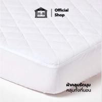 ราคา Home Best [รุ่นใหม่หนากว่าเดิม] ผ้ารองกันเปื้อน ผ้ารองกันเปื้อน ที่นอน 6ฟุต /5/3.5ฟุต แผ่นรองที่นอน กันแบคทีเรียระบายอาศ 3 ฟุต HB คลุมรัดมุม (12139316)