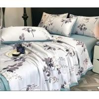 ราคา Koji Sweet LYOCELL ผ้าไลโอเซลล์ ผ้าห่ม+ปลอกหมอน2 +ผ้าปู ขนาด 6 ฟุตแบบเซ็ต สีม่วงฟ้า (12436167)