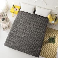 ราคา SC Home ผ้ารองกันเปื้อน สีเทา ไม่ต้องกลัวเลอะ ผ้ารองที่นอน (Protector) เป็นผ้า Super soft ขนาด 6 ฟุต (12484916)