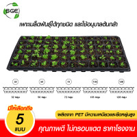 ราคา Spring Green Evolution ถาดเพาะกล้า ถาดเพาะปลูก รุ่น GT ของแท้จาก SGE ถาดเพาะกล้า 105 หลุม (11026440)