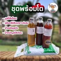 ราคา patwitfarmชุดพร้อมโต มูลไส้เดือน+จุลินทรีย์สังเคราะห์แสง+น้ำหมักมูลวัว+น้ำหมักมูลไส้เดือน (12187007)