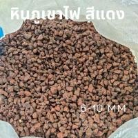 ราคา kuendee organic supply หินภูเขาไฟ สีดำ & สีแดง LAVA ROCK // ยกกระสอบ 20 ลิตร // วัสดุปลูก โรยหน้ากระถาง 4 ลิตร แดง 6-10 mm (12430949)