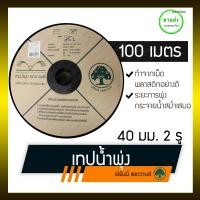 ราคา เอิร์นนี่ แอดวานซ์ (ตรา ต้นไม้) เทปน้ำพุ่ง ยาว 100 เมตร แบบ 2 รู 26x26x5 2513626088 ดำดด (10407946)