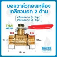 ราคา THAI WATER หัวฉีดน้ำแรงๆ หัวฉีดพ่นยา หัวพ่นยาแรงดัน หัวพ่นยา 14-BALL-C (12514569)