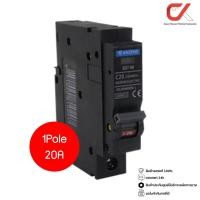 ราคา Anzens SD7-M 1P 10A, 16A, 20A, 32A ลูกเซอร์กิตเบรกเกอร์ลูกย่อย แบบเสียบ 1P 20A (12567798)