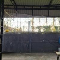 ราคา mpi ผ้าใบ 3x4 (ใส) ไม่พับขอบ พลาสติกกันฝน ผ้าใบกันฝน ไม่มีรอยต่อ (12019889)