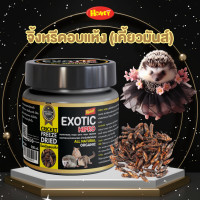 ราคา HONEY PETZ แมลงอบแห้งสำหรับสัตว์เล็ก EXOTIC HIPRO ขนาด 500 กรัม จิ้งหรีด (12651159)
