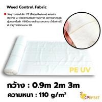 ราคา CP KASET ผ้าคลุมหญ้า ผ้าคลุมดิน พลาสติกคลุมหญ้า พลาสติกคลุมดิน แบ่งขายเป็นเมตร หมุดพลาสติก 6“ 10ตัว PE UV 110g (สีขาว) (10780714)