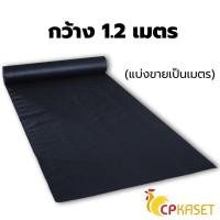 ราคา CP KASET ผ้าคลุมหญ้า ผ้าคลุมดิน พลาสติกคลุมหญ้า พลาสติกคลุมดิน แบ่งขายเป็นเมตร - 1 กว้าง 1.20 เมตร (10780936)