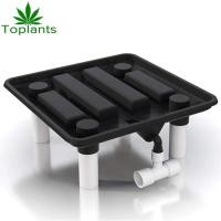ราคา SpiderFarmer Thailand ถาดระบายน้ำ Runoff Drain Tray 15.5 นิ้ว ถาดรองกระถางต้นไม้ ถาดรองน้ำไหล ถาดปลูกกัญชา รองกระถาง 40cm (10984124)