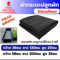 ราคา Union ผ้ากระบะปลูกผัก ( แสนทน ) แปลงปลูกผัก กะบะเพาะปลูก แปลงผักเพาะปลูก กะบะใส่ดินปลูกต้นไม้(สินค้าไม่รวมโครง) กระบะ แสนทน ขนาด 38x120x20 cm (12088760)