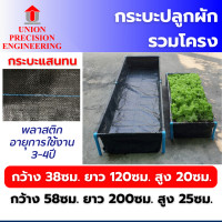 ราคา Union กระบะปลูกผัก ( แสนทน ) แปลงปลูกผัก กะบะเพาะปลูก แปลงผักเพาะปลูก กะบะใส่ดินปลูกต้นไม้ มีโครงและไม่มีโครงเลือกได้ กระบะ แสนทน ขนาด 38x120x20 cm(พร (12089184)