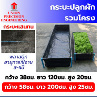 ราคา Union กระบะปลูกผัก ( แสนทน ) แปลงปลูกผัก กะบะเพาะปลูก แปลงผักเพาะปลูก กะบะใส่ดินปลูกต้นไม้ มีโครงและไม่มีโครงเลือกได้ กระบะ แสนทน ขนาด 58x200x25 cm.(พ (12089185)