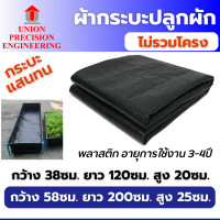 ราคา Union ผ้ากระบะปลูกผัก ( แสนทน ) แปลงปลูกผัก กะบะเพาะปลูก แปลงผักเพาะปลูก กะบะใส่ดินปลูกต้นไม้(สินค้าไม่รวมโครง) กระบะ แสนทน ขนาด 58x200x25 cm. (12088761)