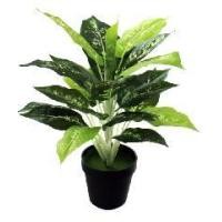 ราคา Tree Oต้นสาวน้อยประแป้งประดิษฐ์ สูง 40CM AL17T093 เขียว สีธรรมชาติ (10119984)