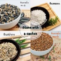 ราคา ระยองเคหะภัณฑ์ หินแต่งสวน หินโรยหน้ากระถาง ทรายล้างทอง-ส้ม 100กรัม (10231516)