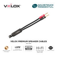 ราคา Velox Premium Speaker Cables 3.05M (12575989)