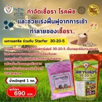 ราคา ฟาร์มเกษตร ต้นข้าว ใบไหม้ ใบจุด ถอดฝักดาบ ดอกกระถิน กำจัดด้วย เมทาแล็กซิล และเร่งฟื้นฟู ด้วย ชุดโปรฯ (12582660)