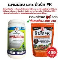 ราคา ฟาร์มเกษตร ต้นผักคะน้า ใบไหม้ใบจุด รากเน่า ราน้ำค้าง โรคพืชจากเชื้อราต่างๆ กำจัดด้วยแพนน่อน ใช้ได้กับพืชทุกชนิด แก้รา+เร่งพืชฟื้นตัว (12583501)