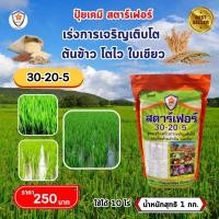 ราคา ฟาร์มเกษตร ต้นข้าว ใบไหม้ ใบจุด ถอดฝักดาบ ดอกกระถิน กำจัดด้วย เมทาแล็กซิล และเร่งฟื้นฟู ด้วย เร่งฟื้นฟู เร่งโต (12582659)