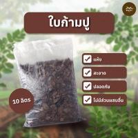 ราคา ใบก้ามปูแห้ง ใบก้ามปู จากป่าจามจุรี ขนาด 10 ลิตร (12618795)