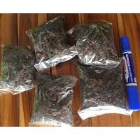 ราคา Nobpha9 แวกดายหญ้า แวกขุดดิน ครั่ง (12664761)