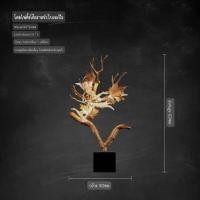 ราคา Intery โคมไฟระย้า โคมไฟติดผนัง CT223A296 SOTMIA 04_ ตั้งโต๊ะ (12523740)