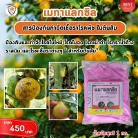 ราคา ฟาร์มเกษตร Metalaxyl เป็นสารเคมีป้องกันกำจัดโรคพืช ประเภทดูดซึม ออกฤทธิ์กว้าง สำหรับต้นส้ม กำจัดเชื้อรา โรคพืช (12583102)