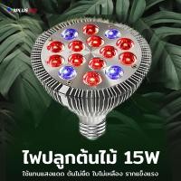 ราคา 3Plus LED หลอดไฟปลูกต้นไม้ E27 15W 15x15 E27 15W สีชมพู (10613022)