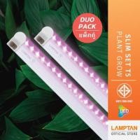 ราคา LAMPTAN LED Slim Set T5 Plant Grow หลอดไฟสเปกตรัมสำหรับปลูกต้นไม้ 9wx2 ต่อพ่วงได้คู่] ชุดหลอดไฟรางปลูกต้นไม้ DUO PACK 9wx2 (10554868)